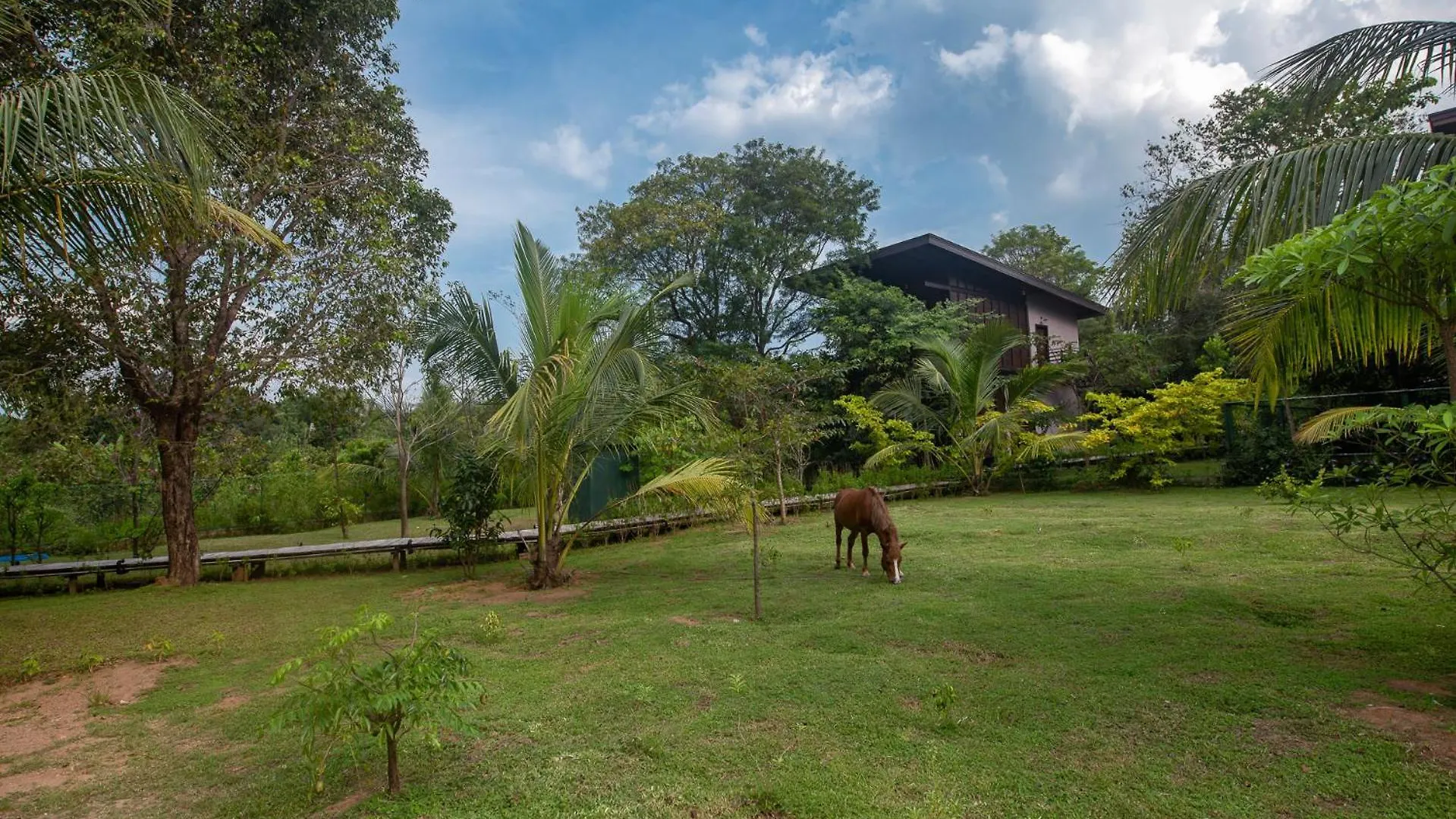 Atha Resort Sigiriya
